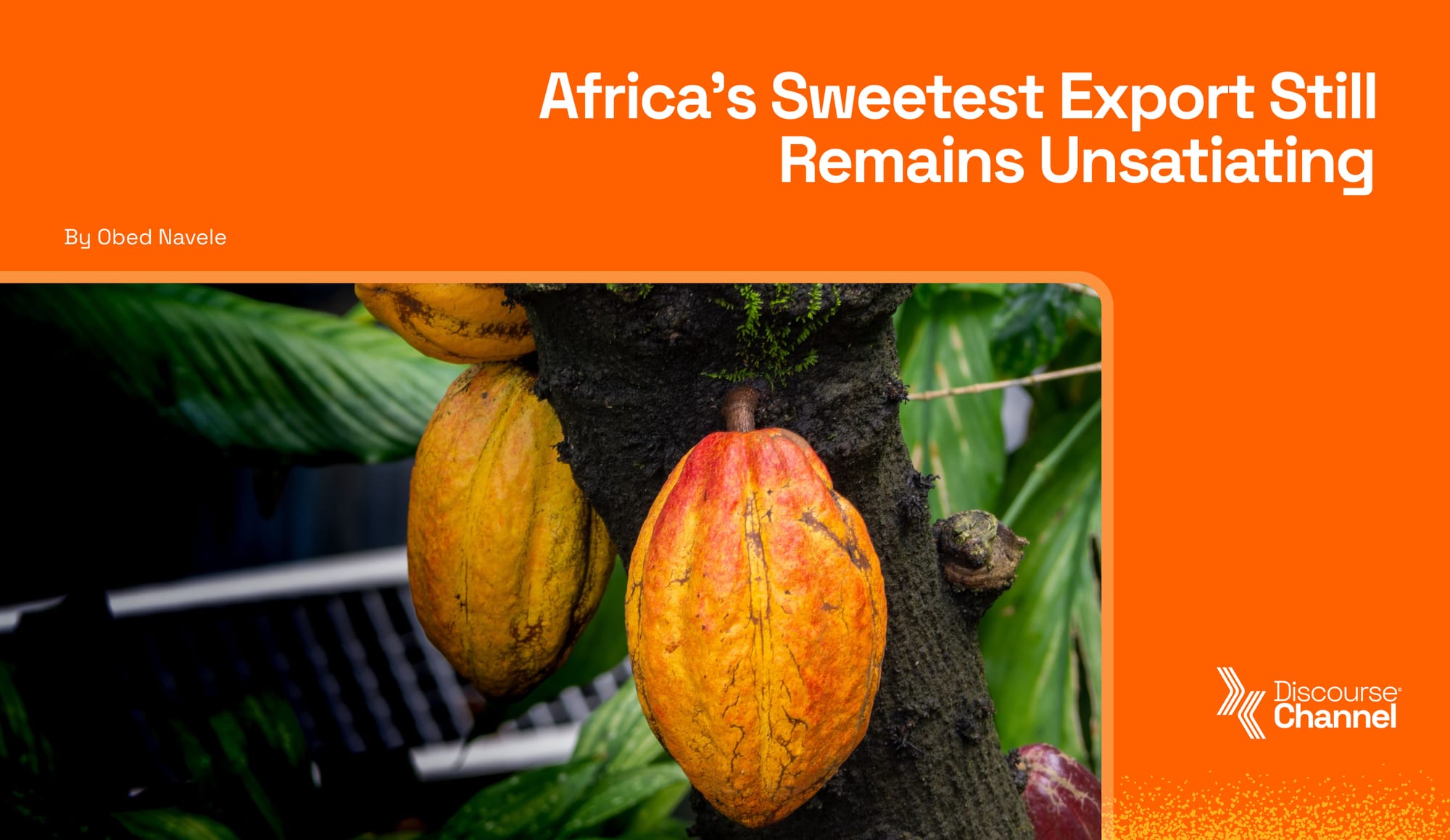 Africa's Sweetest Export Still Remains Unsatiat...'s Image