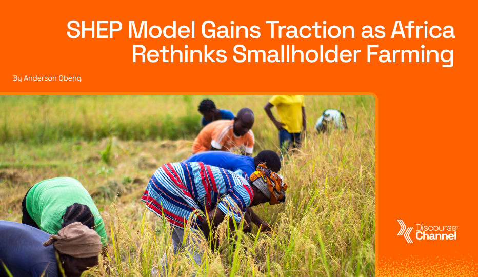 SHEP Model Gains Traction as Africa Rethinks Smallholder Farming
