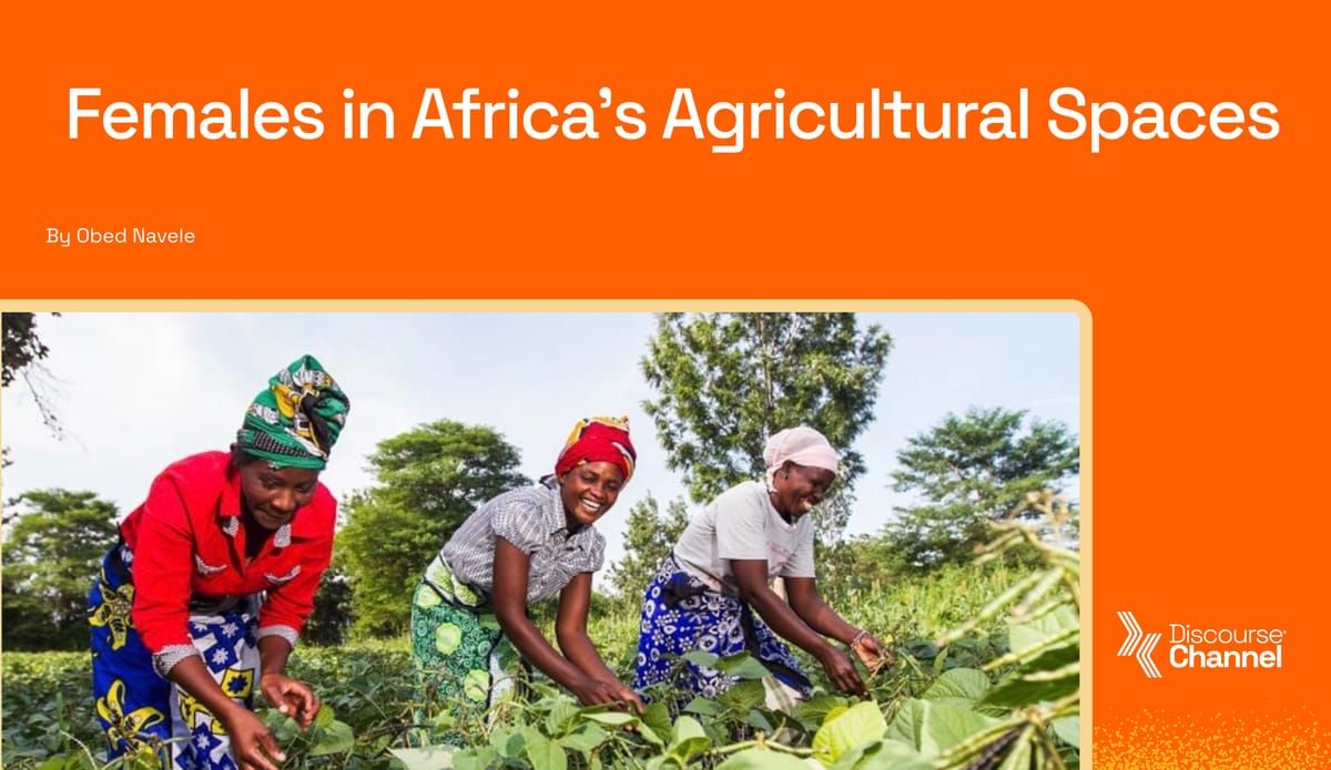 Females in Africa's Agricultural Spaces