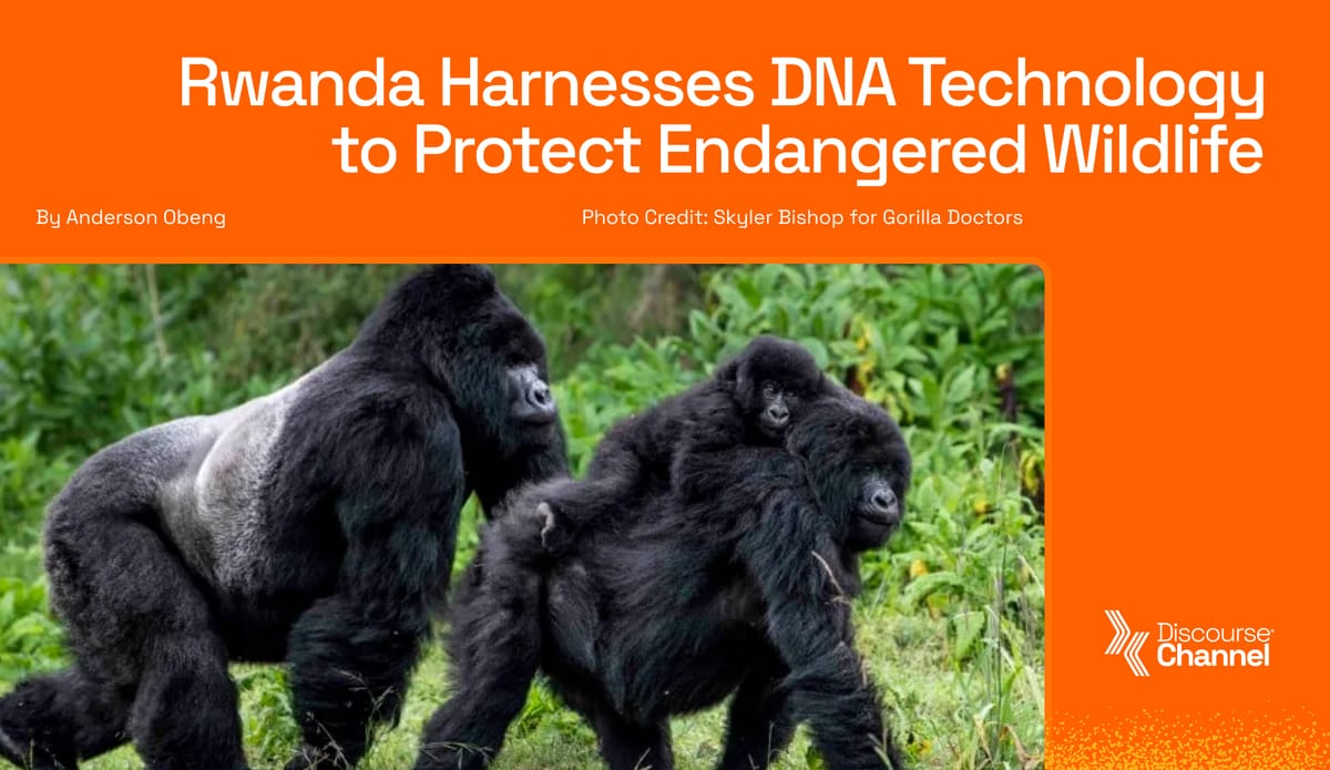 Rwanda Harnesses DNA Technology to Protect Endangered Wildlife