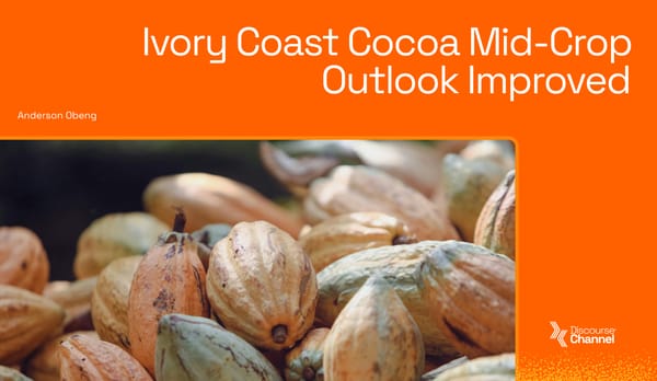 Ivory Coast Cocoa Mid-Crop Outlook Improved