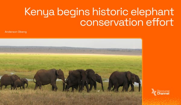 Kenya begins historic elephant conservation effort