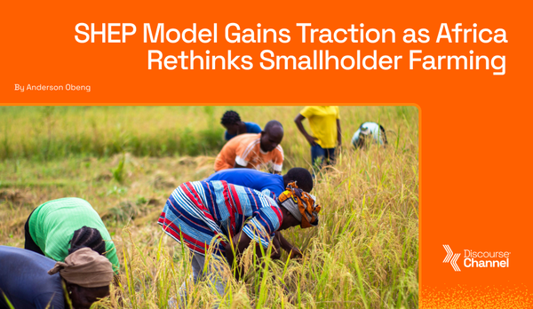 SHEP Model Gains Traction as Africa Rethinks Smallholder Farming